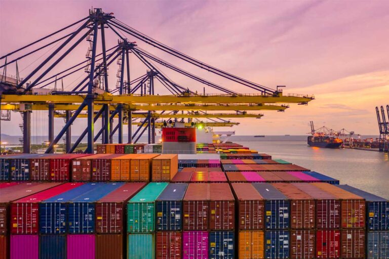 Lee más sobre el artículo CUSTOMS BROKER, WHY DO I NEED THEIR SERVICES FOR MY IMPORTS AND EXPORTS?